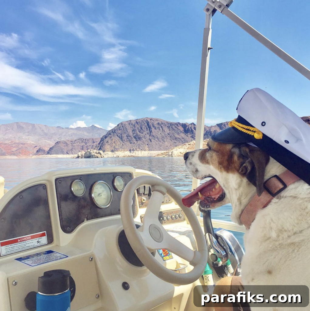 sailboat or rv