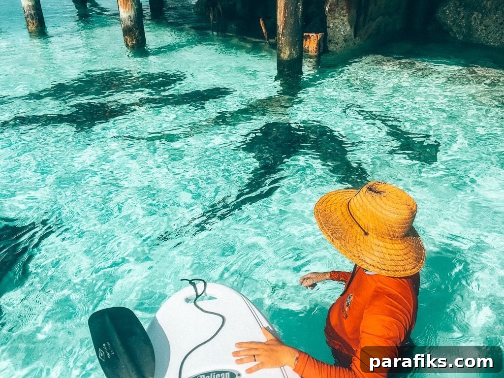 2019 Year in Review: Where I Traveled and What Changed 4 Sharks in the Exumas