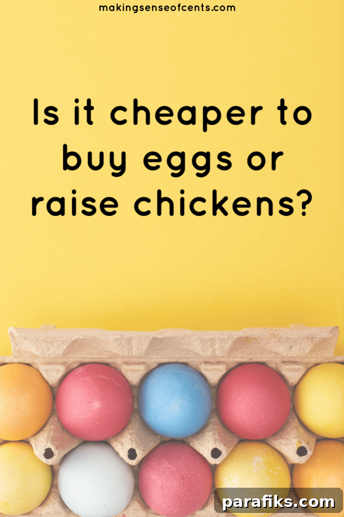 raising backyard chickens for eggs