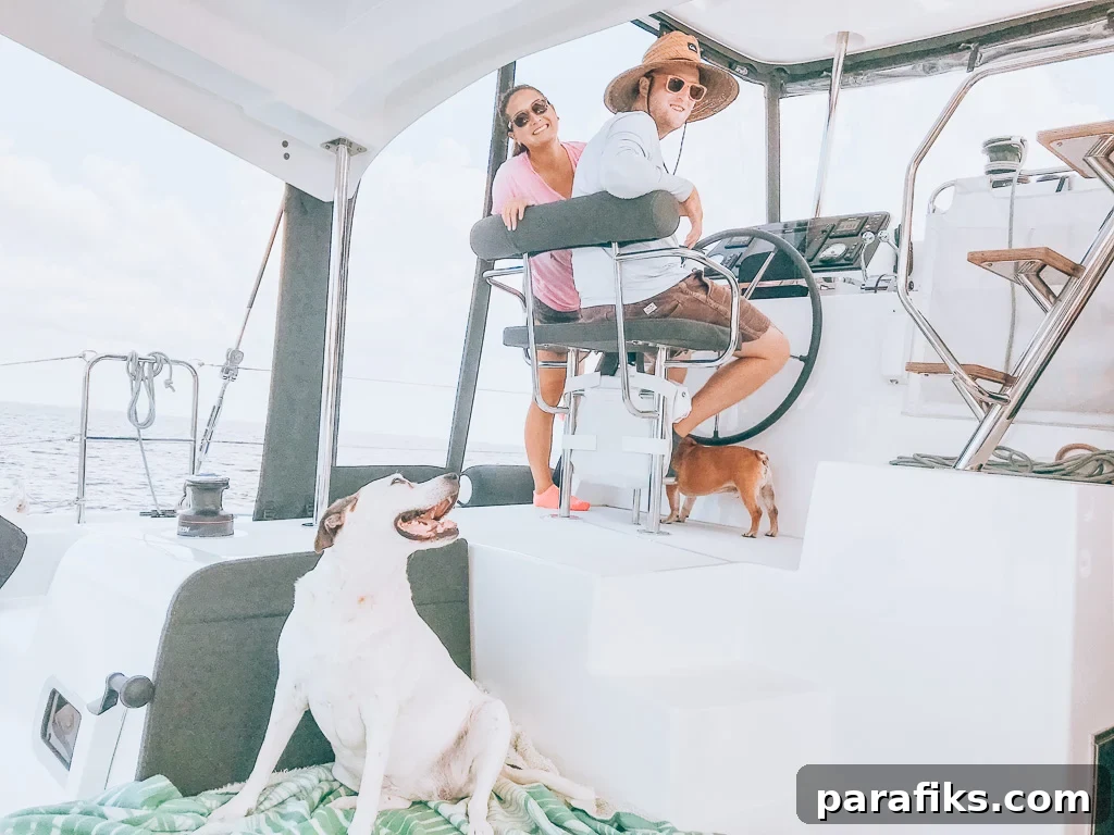 Full-Time RV and Boat Life with My Two Dogs: A Travel Guide 2 traveling with dogs by boat