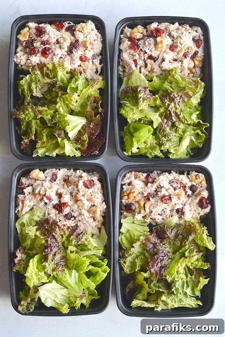 13 Salad Meal Prep Ideas to Save Time and Money 11 Cranberry Walnut Chicken Salad