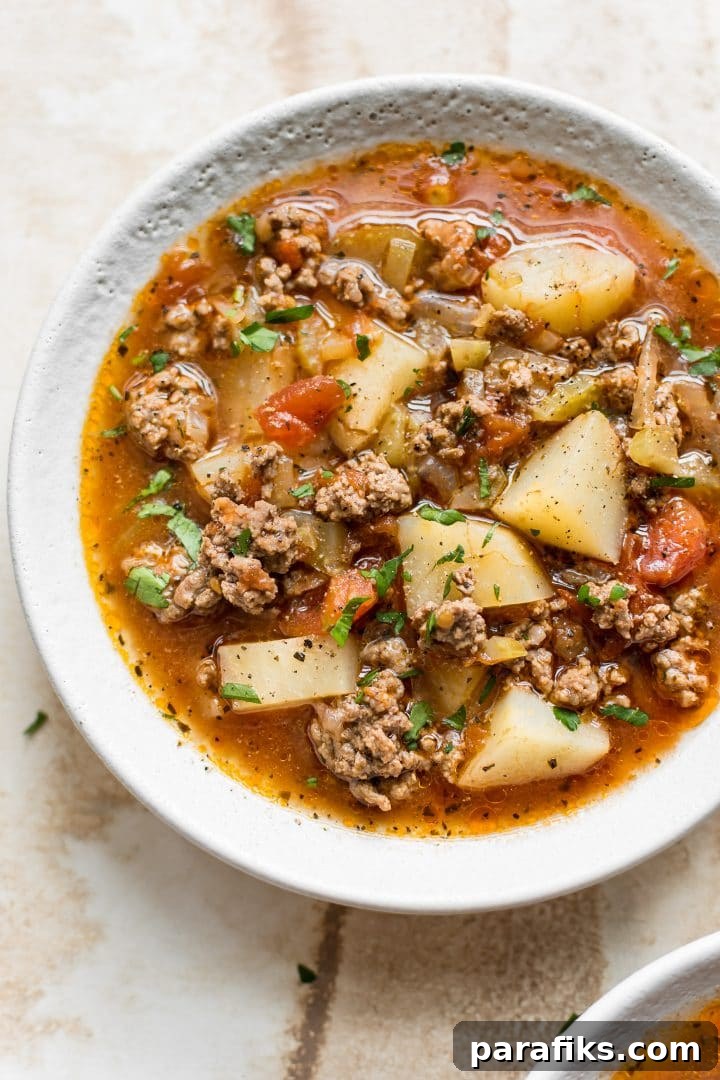 Hamburger Instant Pot Soup