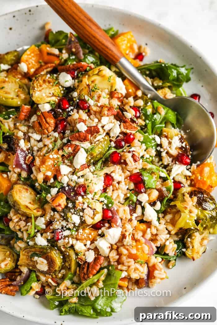 17 Summer Dinner Ideas: Quick, Light & Delicious Recipes 13 Harvest farro salad