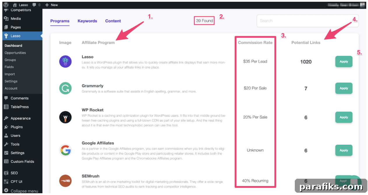 Lasso Plugin Review: Boost Your Affiliate Earnings with Proven Tips 8 img 52066 11