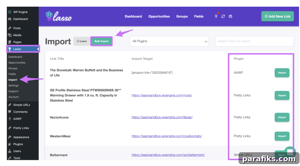 Lasso Plugin Review: Boost Your Affiliate Earnings with Proven Tips 4 img 52066 3