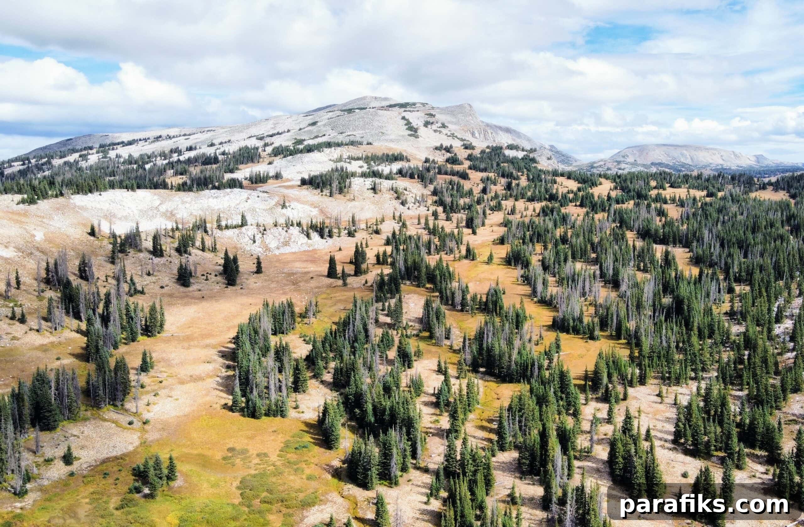 18 Real Ways to Get Paid to Travel the World 2 Wyoming Drone View - how to get paid to travel