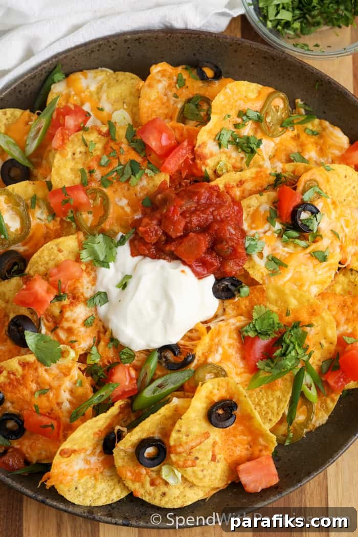 17 Budget-Friendly Ground Beef Recipes to Try This Week 15 Air Fryer Nachos