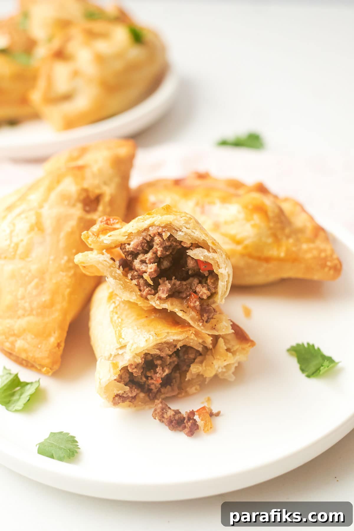 12 Quick Air Fryer Recipes That Taste Amazing 7 Air Fryer Empanadas