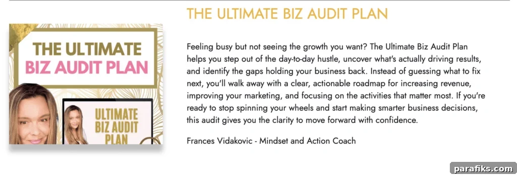 BC Stack 2026 Review: Is This Supplement Bundle Worth It? 10 The Ultimate Biz Audit Plan
