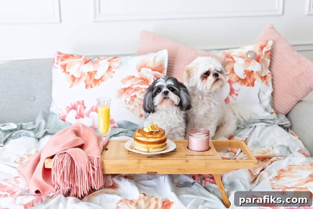 Dogs on bed eating breakfast. Looking for jobs where you work alone? If you're an introvert or simply want minimal human interaction, here are 40 work alone jobs.