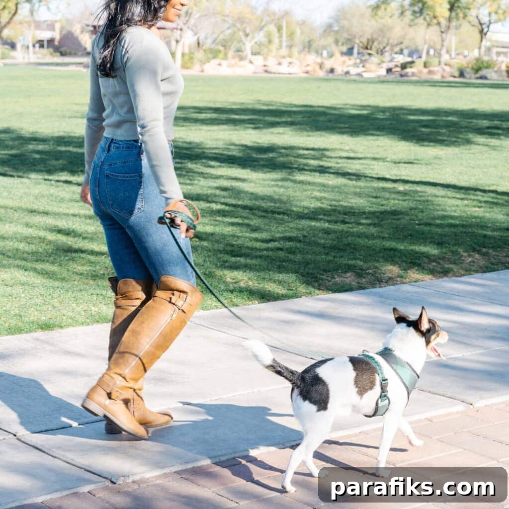 Top-Paying Under-the-Table Jobs That Pay Cash 3 dog walking