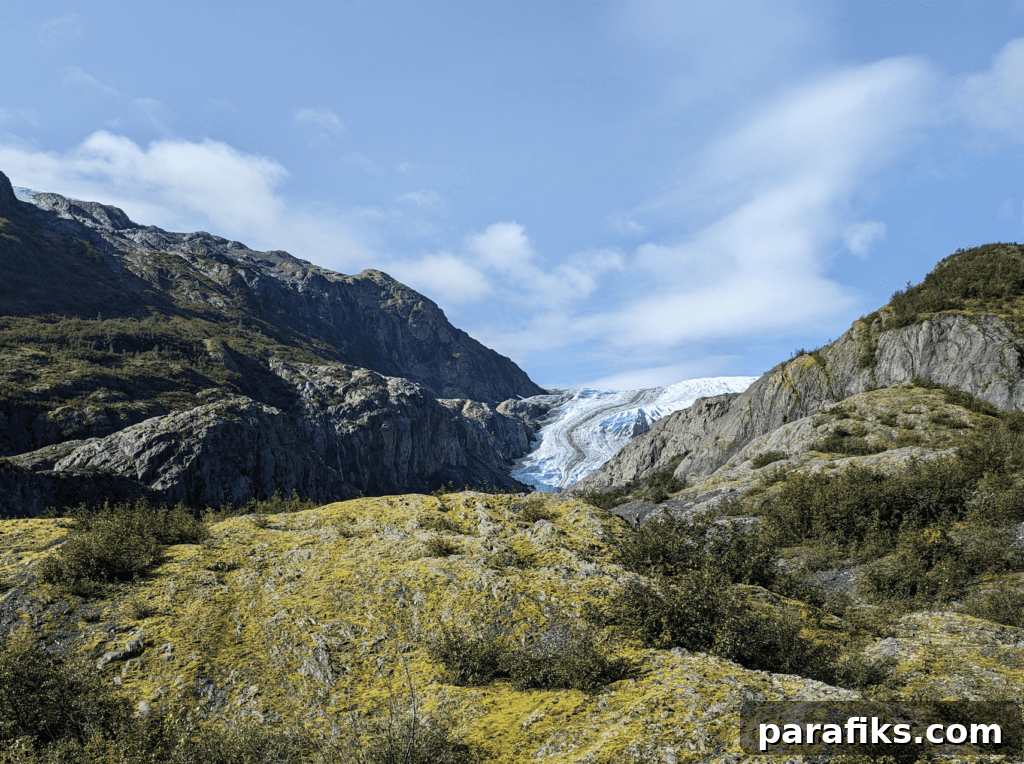 18 Cities That Pay You to Move There (Paid Relocation Programs) 3 Kenai Fjords National Park