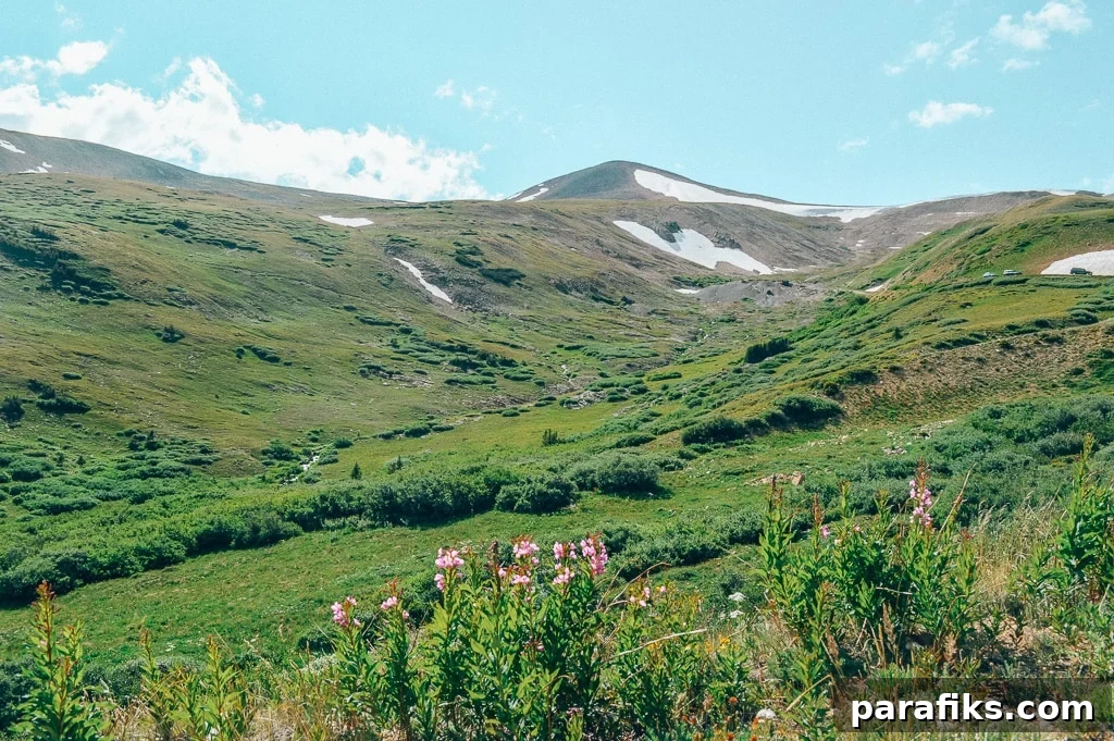 29 High-Paying Outdoor Jobs Working in Nature 3 jobs in nature - Environmental engineer