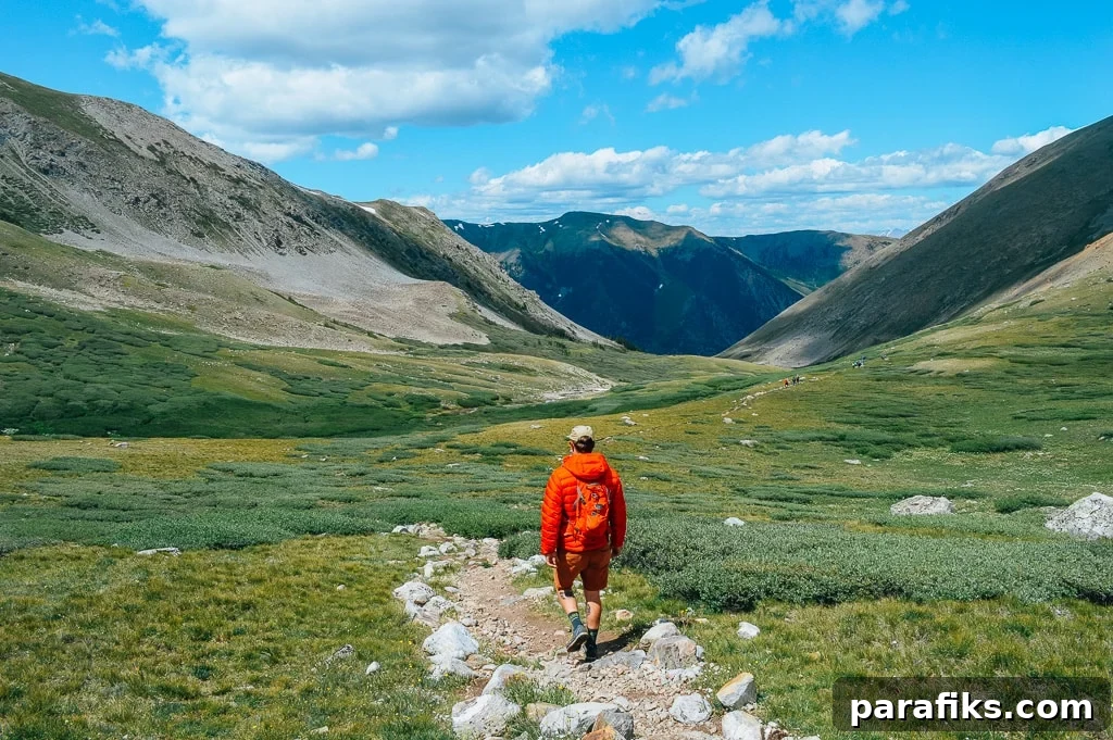 29 High-Paying Outdoor Jobs Working in Nature 6 careers in nature and animals - Wildlife manager