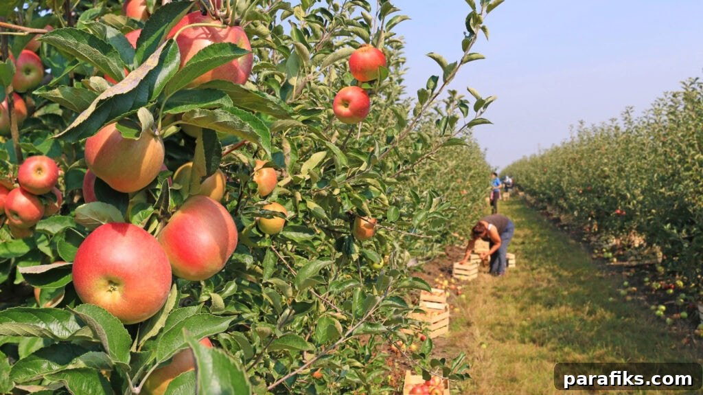 22 Lucrative Fall Side Hustles to Earn Extra Income This Season 2 fall side hustles apple picking