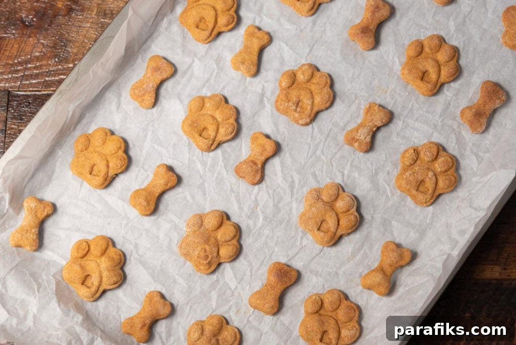 10 Profitable Ways to Earn Money from Baking 2 make money baking dog treats