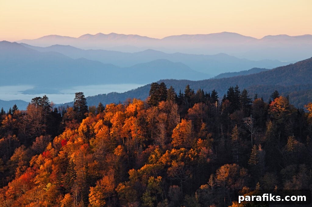 fall sunset picture with red trees and mountains. How much do Travel Photographers make a year