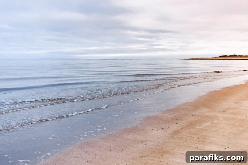 18 Relaxed High-Paying Jobs With Low Stress and Slow Pace 4 Slow-paced jobs for introverts - beach