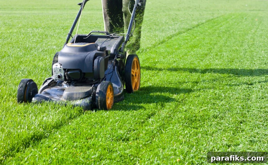 Top Paying Jobs for 15-Year-Olds: How Teens Can Earn Money 2 best jobs for 15 year olds - lawn mowing
