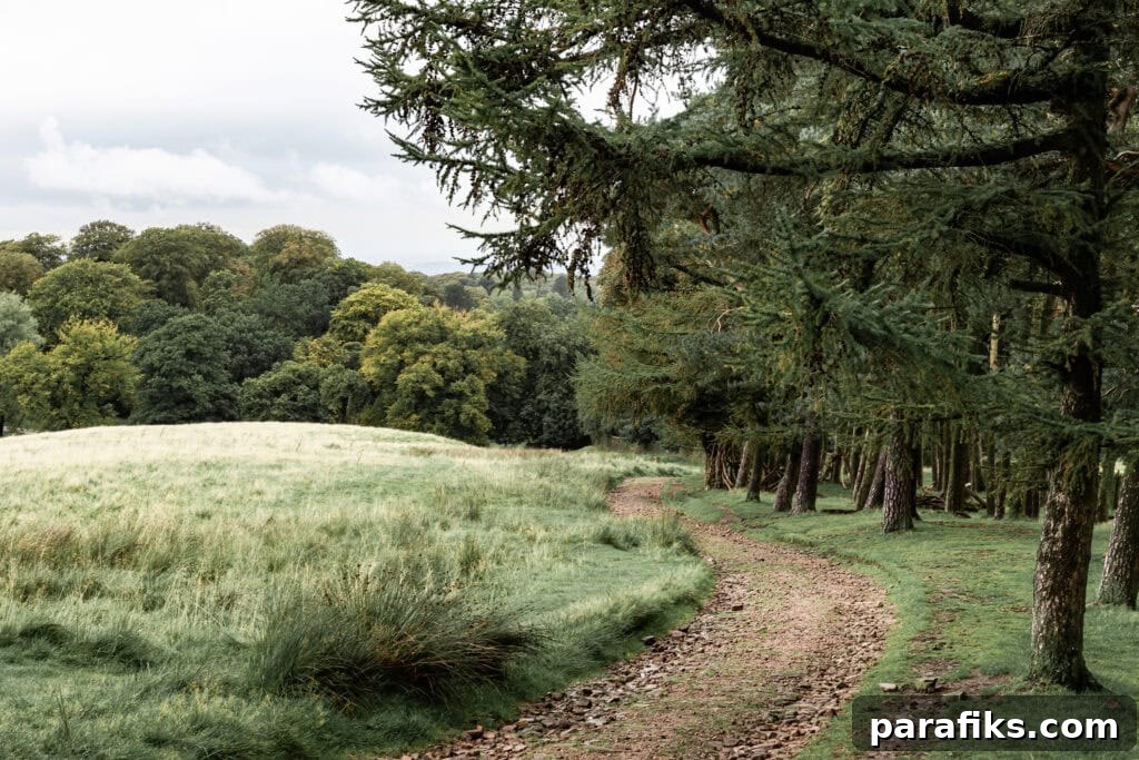 100 New Year Resolutions for 2026: Fresh Goals to Transform Your Year 6 going for a hike - new year resolution list