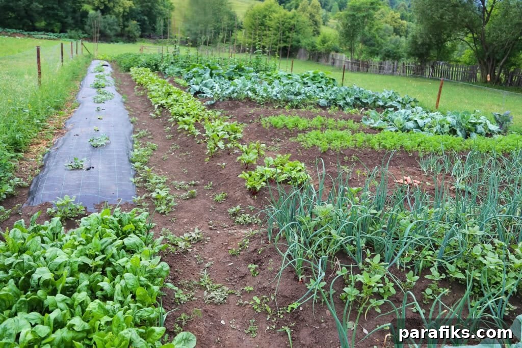 backyard produce for the article Rural side hustles from home