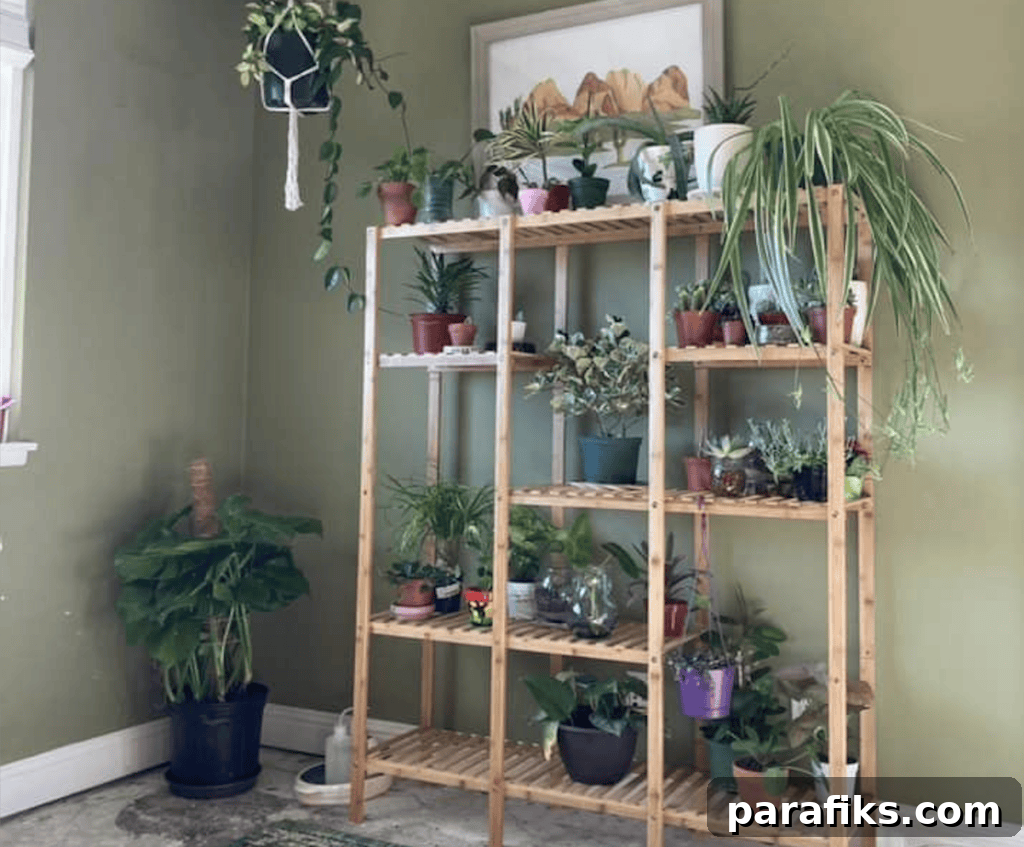 Top Places to Sell Plants for Profit: 10 Lucrative Options 2 Here are some of my personal indoor plants. 10 Best Places To Sell Plants To Make Money