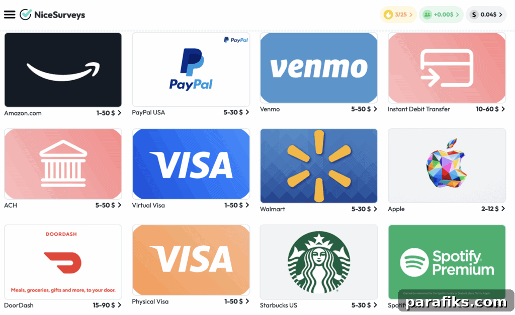 NiceSurveys Review: How I Earned $5 in One Hour 3 NiceSurveys gift card options