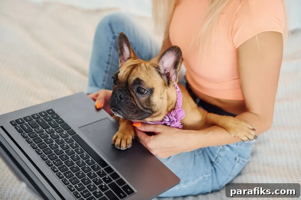 11 Jobs That Let You Bring Your Pet to Work 3 dog sitting on person's lap with a laptop for the article 11 Jobs Where You Can Bring Your Pet to Work