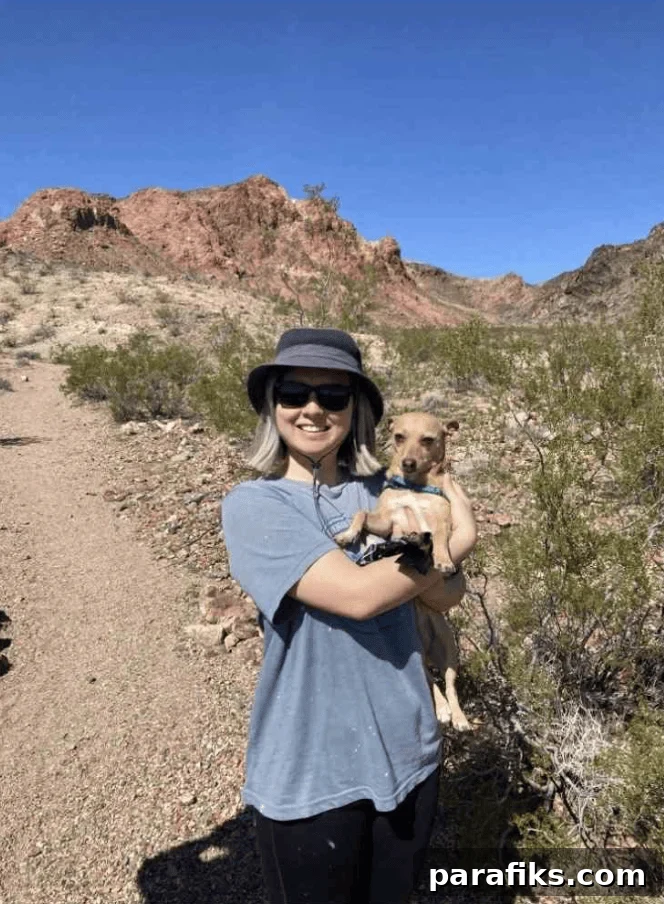 11 Jobs That Let You Bring Your Pet to Work 5 One of the best parts about working from home is having my dogs right by my side—whether that means napping under my desk or joining me on a quick hiking break.