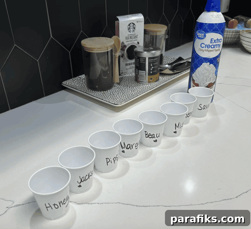 How We Earn $12,000 a Year Dog Sitting From Home 2 pup cups for our dog sitting clients