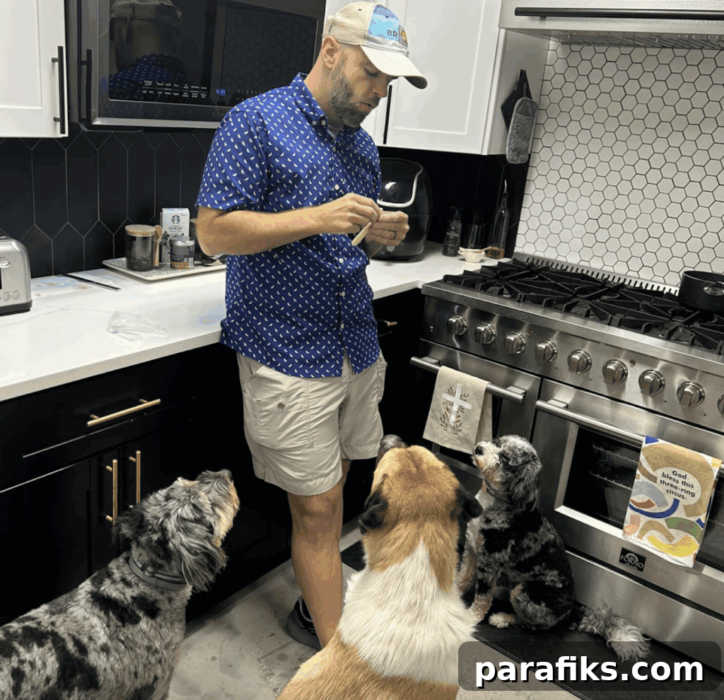 How We Earn $12,000 a Year Dog Sitting From Home 4 pet sitting updates pictures