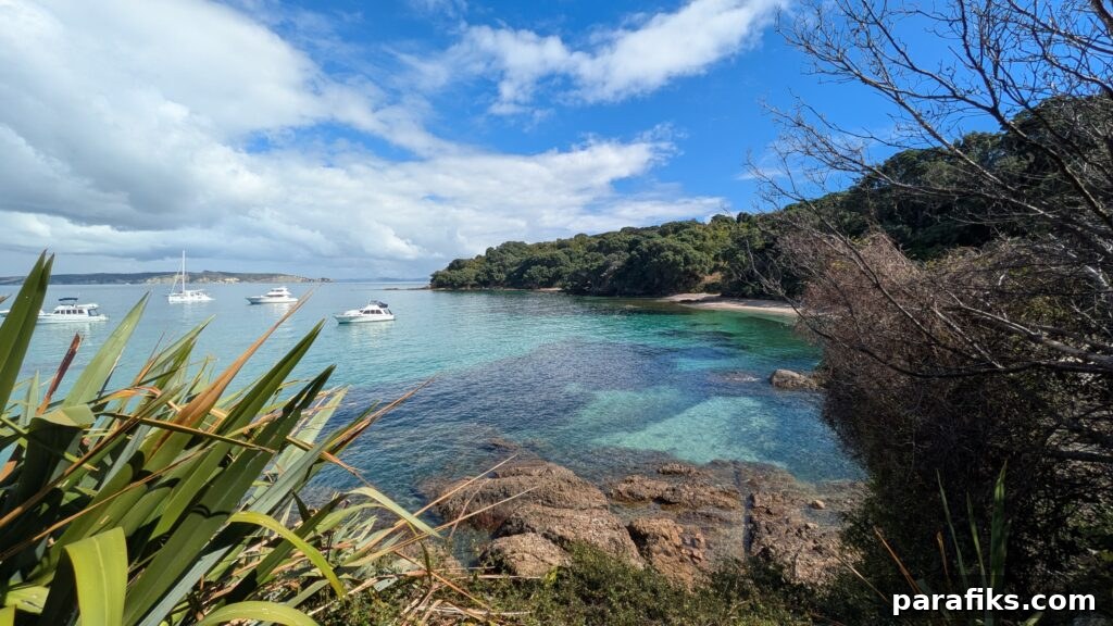 How I Doubled My Retirement from $500K to $1M in 5 Years 5 Tiritiri Matangi Island, New Zealand
