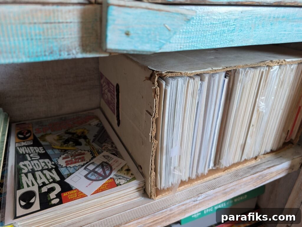 Top Places to Sell Comic Books for Cash Today 3 my brother-in-law's collection of comic books