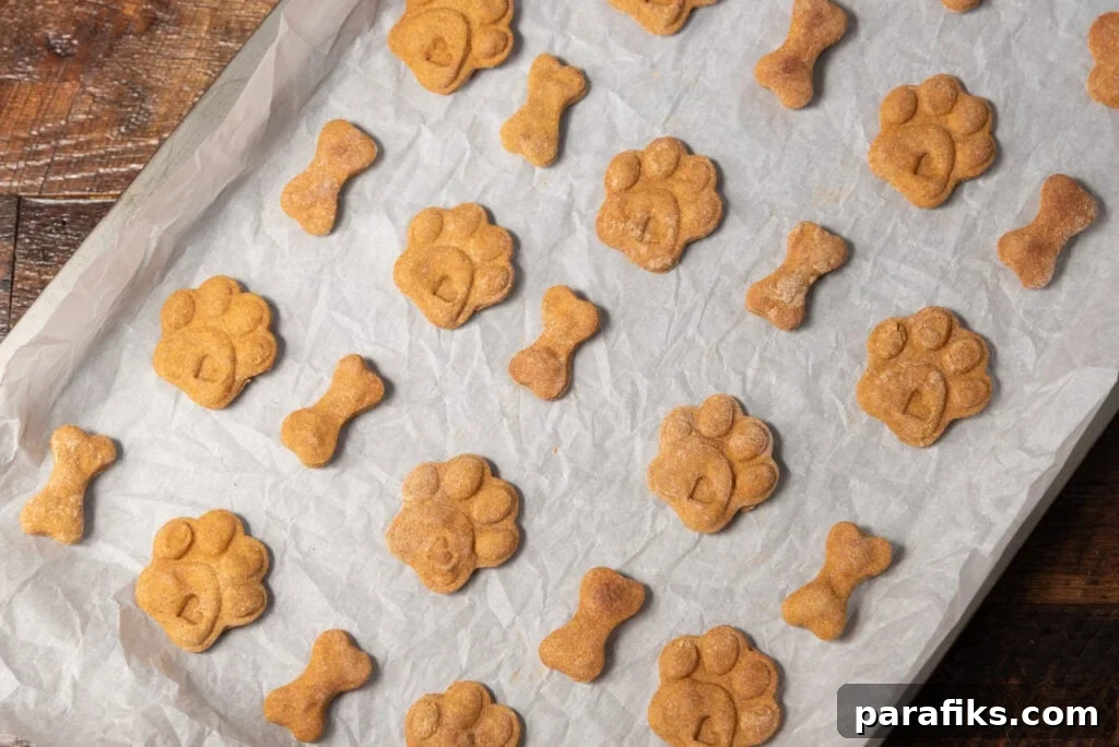Earn $500 a Week From Home: 7 Real Ways 3 Baking dog treats